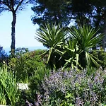 Brezza D'estate * Valderice