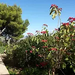 Brezza D'estate Apartman