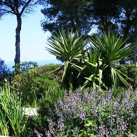 Brezza D'estate * Valderice