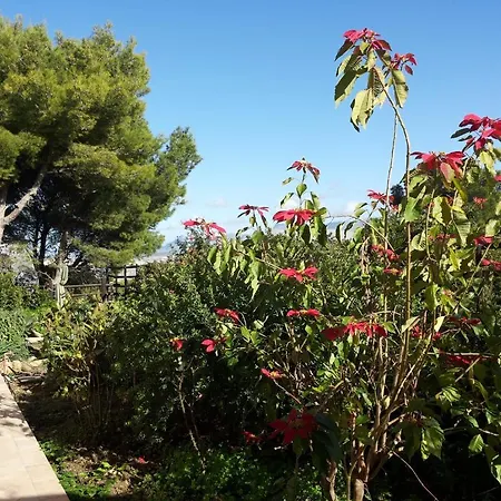 Brezza D'estate Apartman