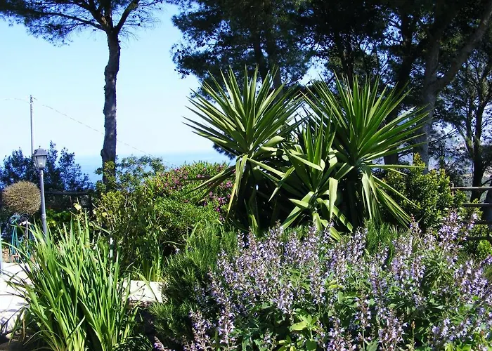 Brezza D'estate * Valderice