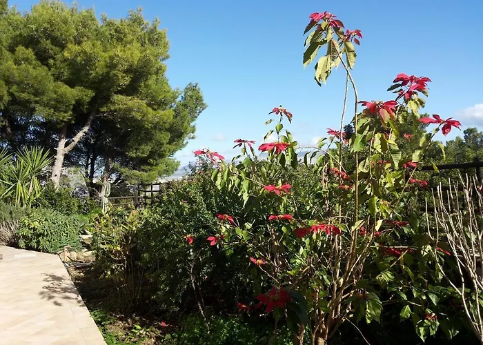 Brezza D'estate Apartment